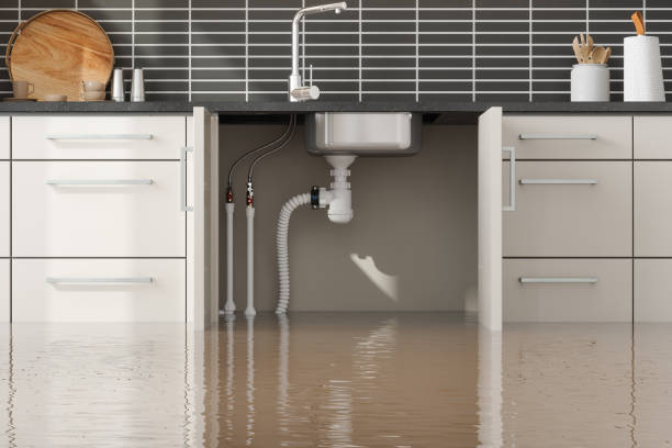 Best 24-hour water damage restoration  in Woodstock, AL