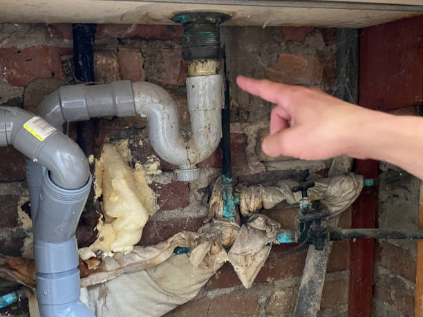 Best Fire Damage Restoration  in Woodstock, AL