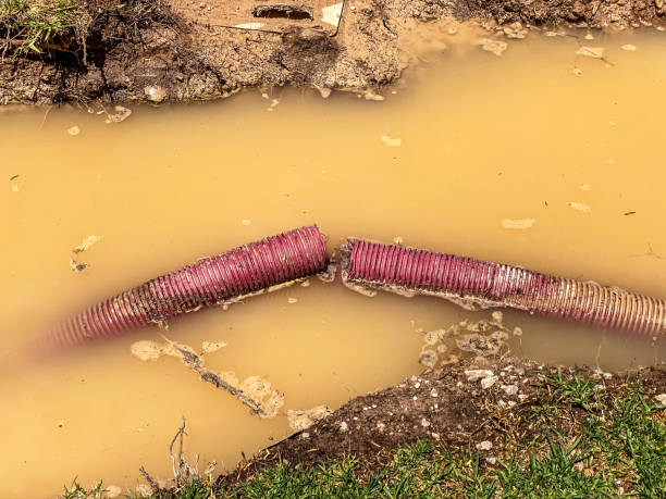 Water damage restoration mold remediation in Woodstock, AL