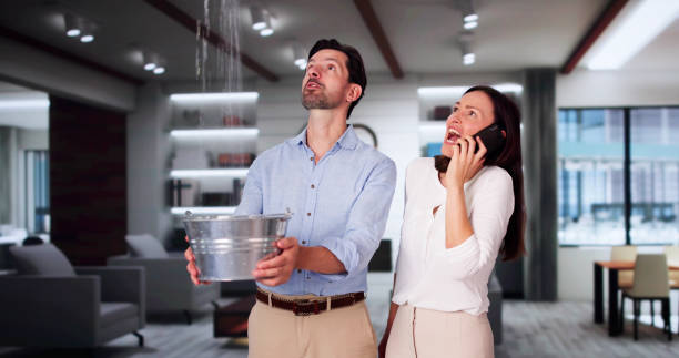 Best Basement water damage restoration  in Woodstock, AL